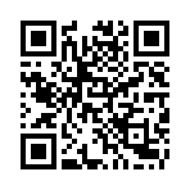 迷失猫咪的冒险之旅