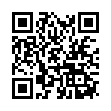 猫猫冲浪无止境